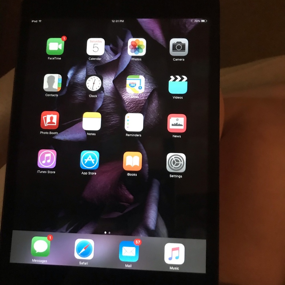 iPad mini 1